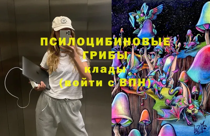 Псилоцибиновые грибы MAGIC MUSHROOMS  Карабаново 